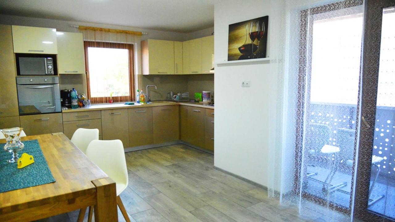 Aparthotel Elena Haus à Cluj-Napoca Extérieur photo